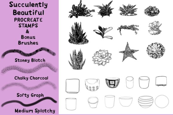 Evaluating the Succulently Beautiful Procreate Stamps for Digital Design Workflows